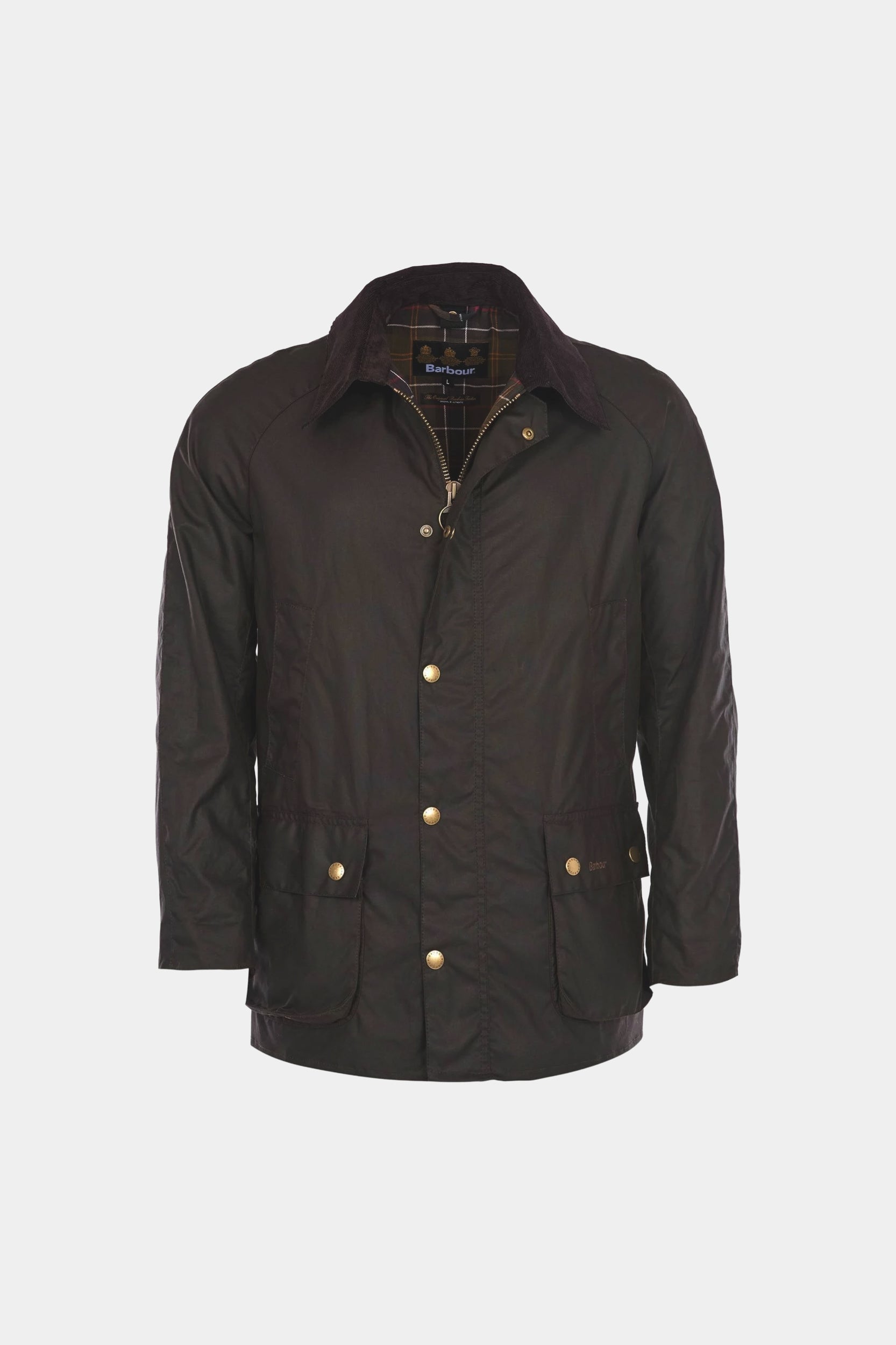 ASHBY - Rustic/Classic