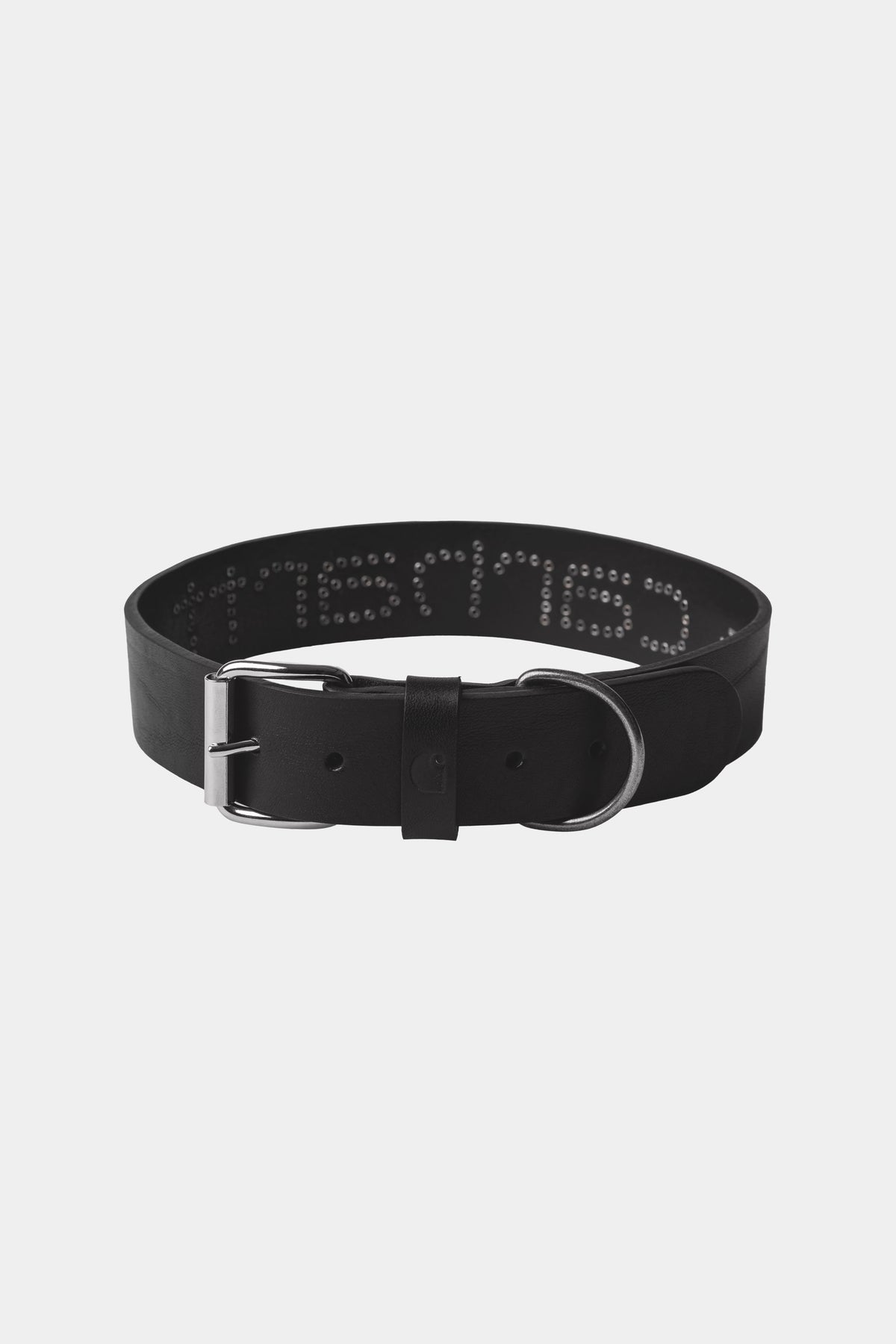 SCRIPT STUDS DOG COLLAR - M/L - Black