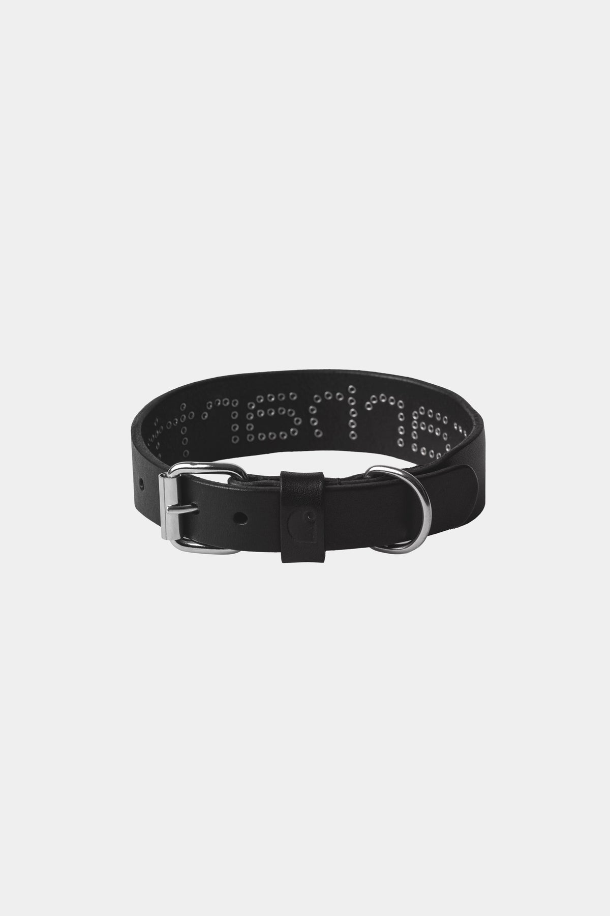 SCRIPT STUDS DOG COLLAR - S/M - Black