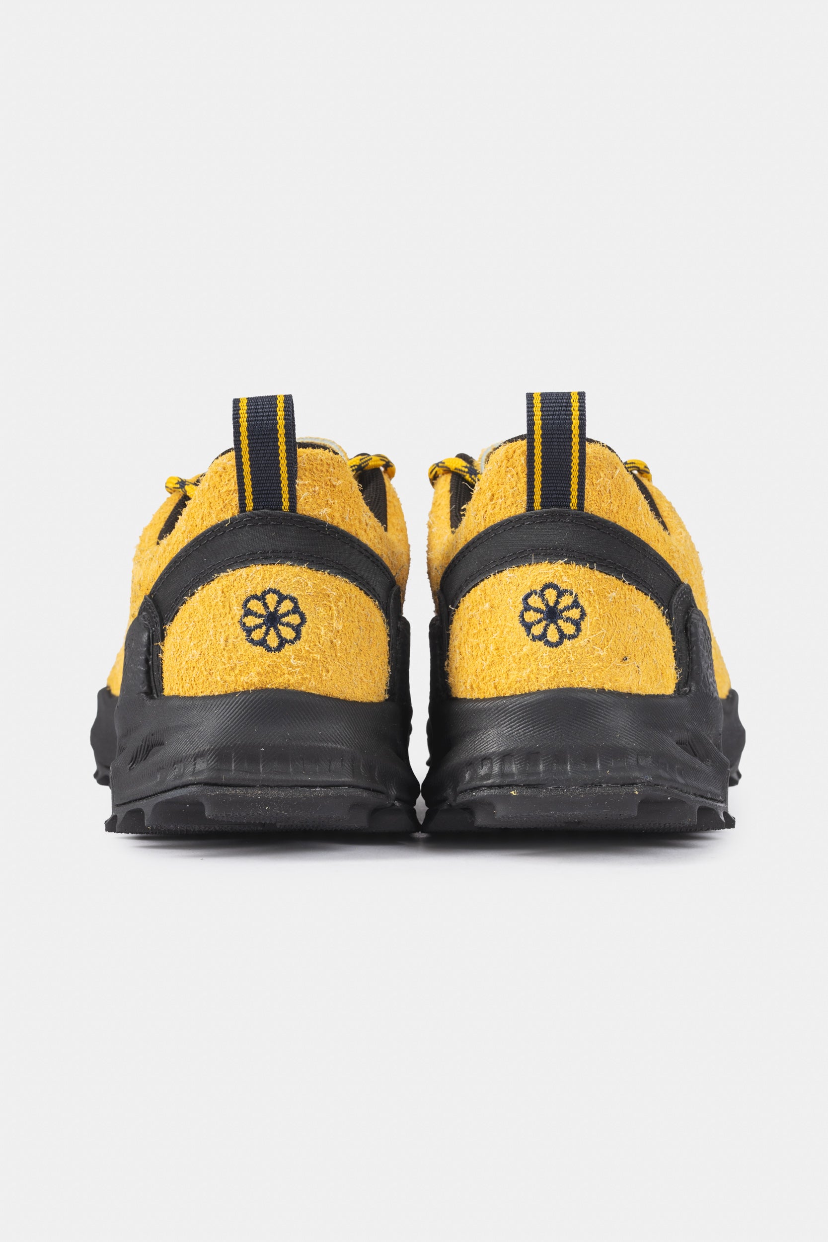 JASPER ZIONIC - Lemon Curry