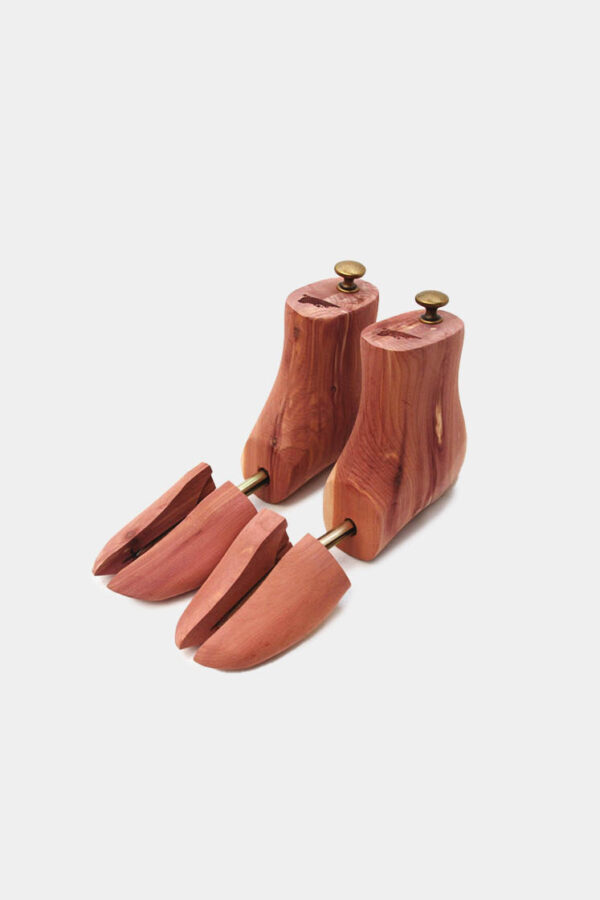 BOOT CEDAR TREE