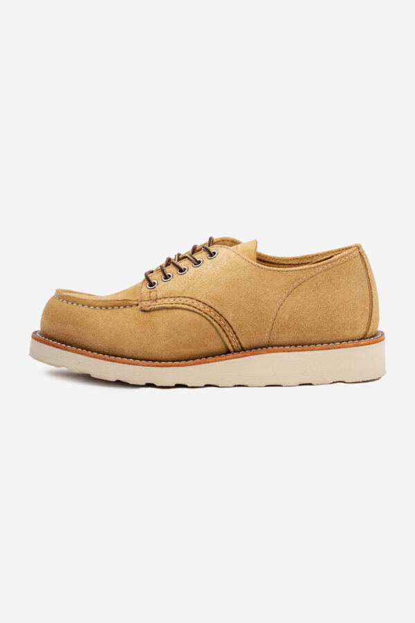 SHOP MOC OXFORD