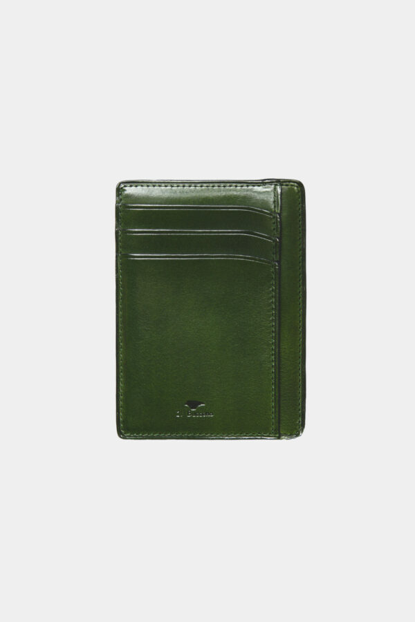 CARD AND DOCUMENT DOUBLE